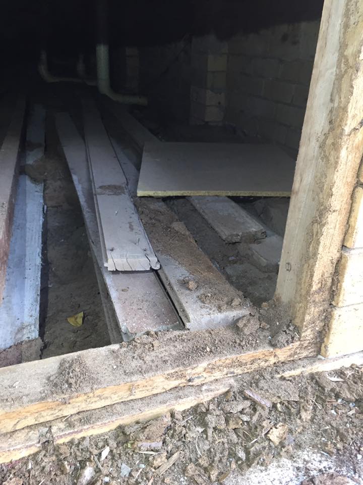 Subfloor with timber beams in a Kingscliff holiday home checked for termite activity