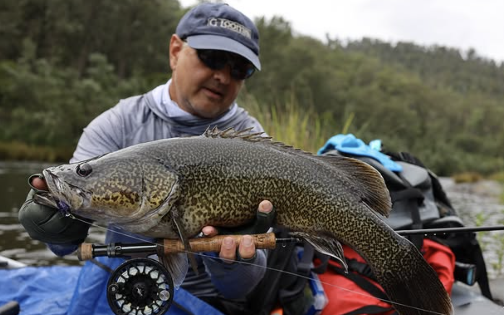 Shannon Kitchener, owner of Local Pest Co, Kingscliff termite specialist